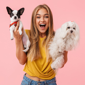 Cute,Lovely,Cheerful,Girl,Playing,With,Her,Pet,Chihuahua,And