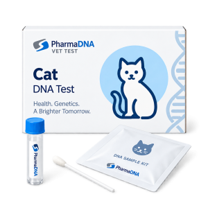 Cat DNA testing illustration